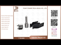 7135-663 Delphi Injektor Reparatur-Kit Diesel-Injektor-Teile für den Schienenverkehr