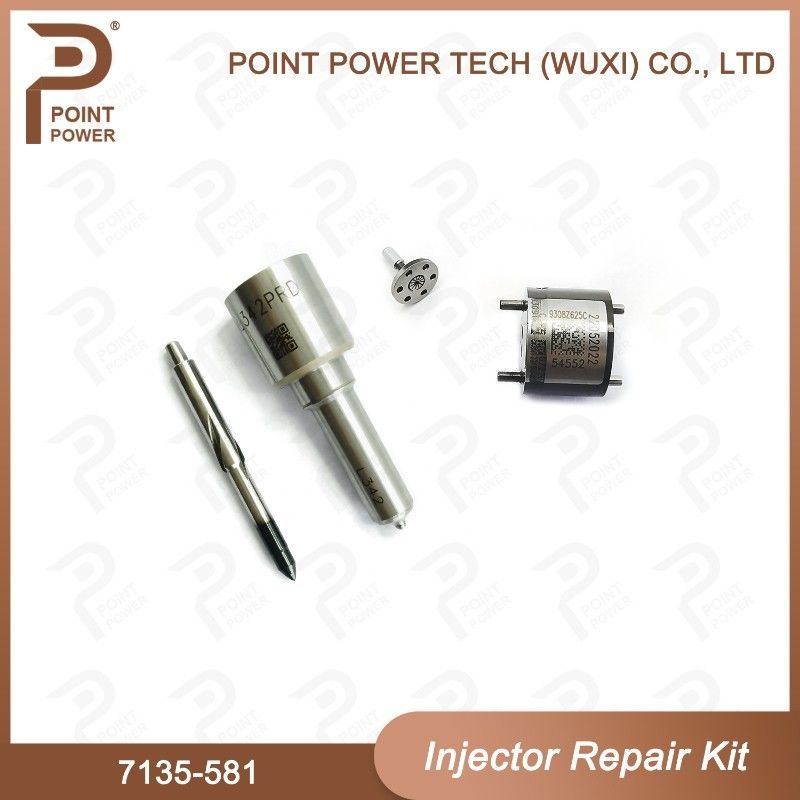 Ausrüstung für die Reparatur von Delphi-Injektoren für R00101D PSA / FORD DW10C