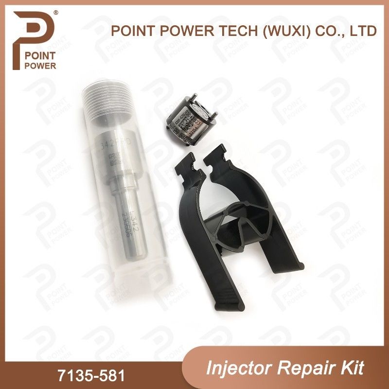 Ausrüstung für die Reparatur von Delphi-Injektoren für R00101D PSA / FORD DW10C