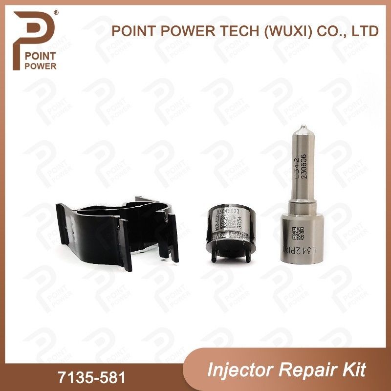 Ausrüstung für die Reparatur von Delphi-Injektoren für R00101D PSA / FORD DW10C