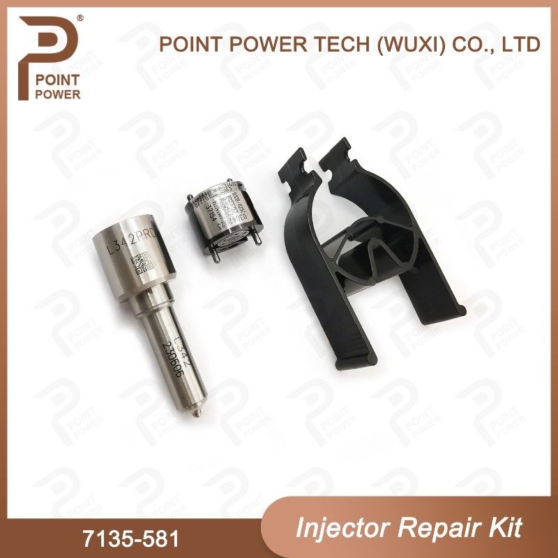 Ausrüstung für die Reparatur von Delphi-Injektoren für R00101D PSA / FORD DW10C