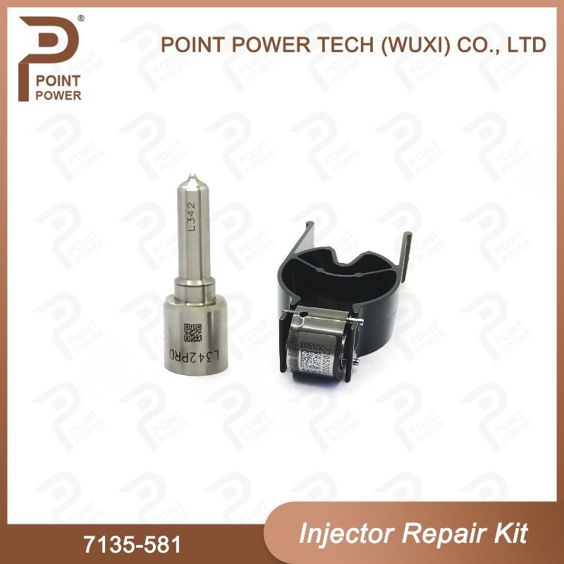 Ausrüstung für die Reparatur von Delphi-Injektoren für R00101D PSA / FORD DW10C