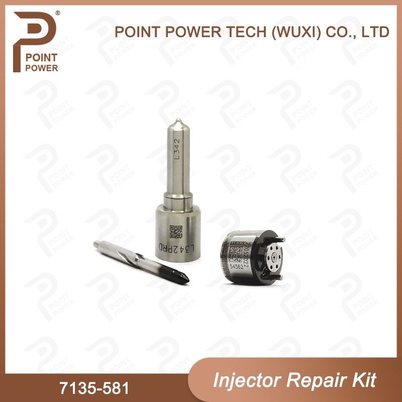 Ausrüstung für die Reparatur von Delphi-Injektoren für R00101D PSA / FORD DW10C