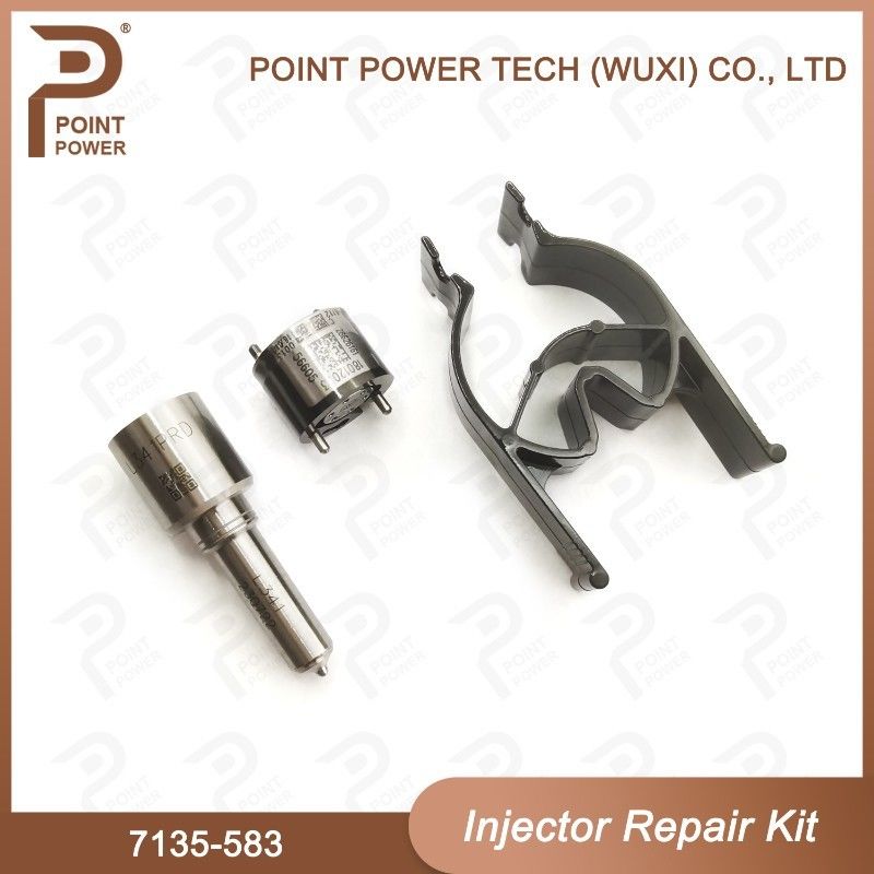7135-583 Delphi Injektor Reparatur-Kit für Injektoren R00301D SSANGYONG D20DTF Düse-Ventil-Kit