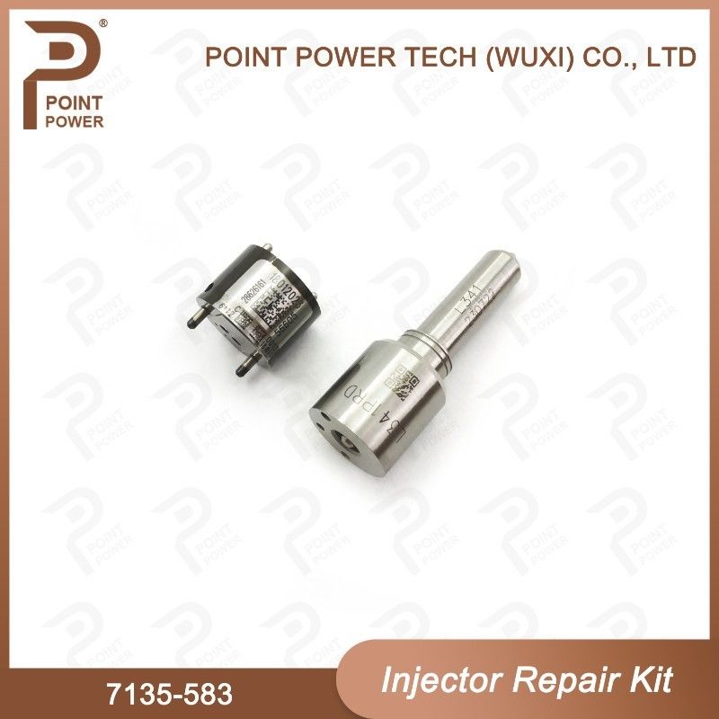 7135-583 Delphi Injektor Reparatur-Kit für Injektoren R00301D SSANGYONG D20DTF Düse-Ventil-Kit