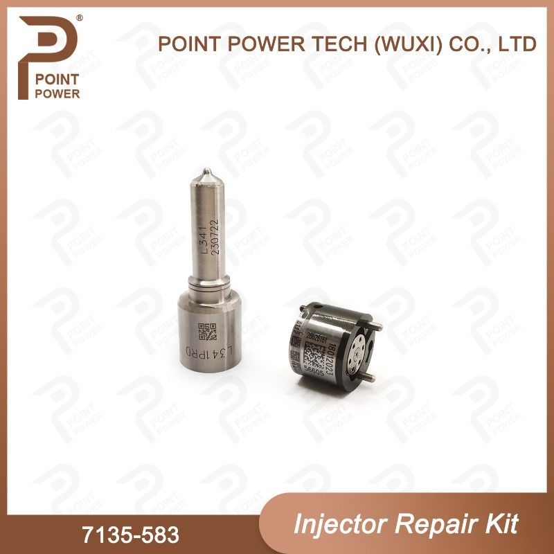7135-583 Delphi Injektor Reparatur-Kit für Injektoren R00301D SSANGYONG D20DTF Düse-Ventil-Kit