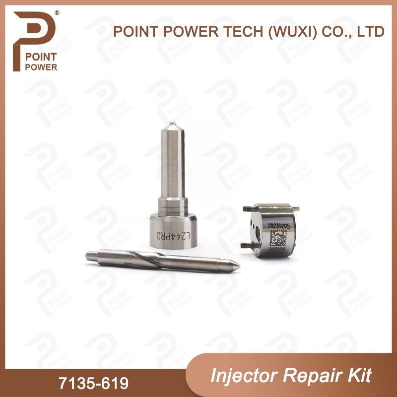 7135-619 Delphi Injektor Reparatur-Kit für Delphi Injektoren Sangyong R04501d Düse-Ventil-Kit
