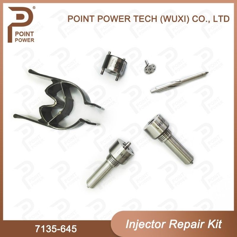 7135-645 Delphi Injektor Reparatur-Kit für Injektoren R05201D Düsen-CVA-Kit mit Common Rail Düse
