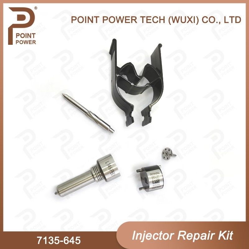 7135-645 Delphi Injektor Reparatur-Kit für Injektoren R05201D Düsen-CVA-Kit mit Common Rail Düse