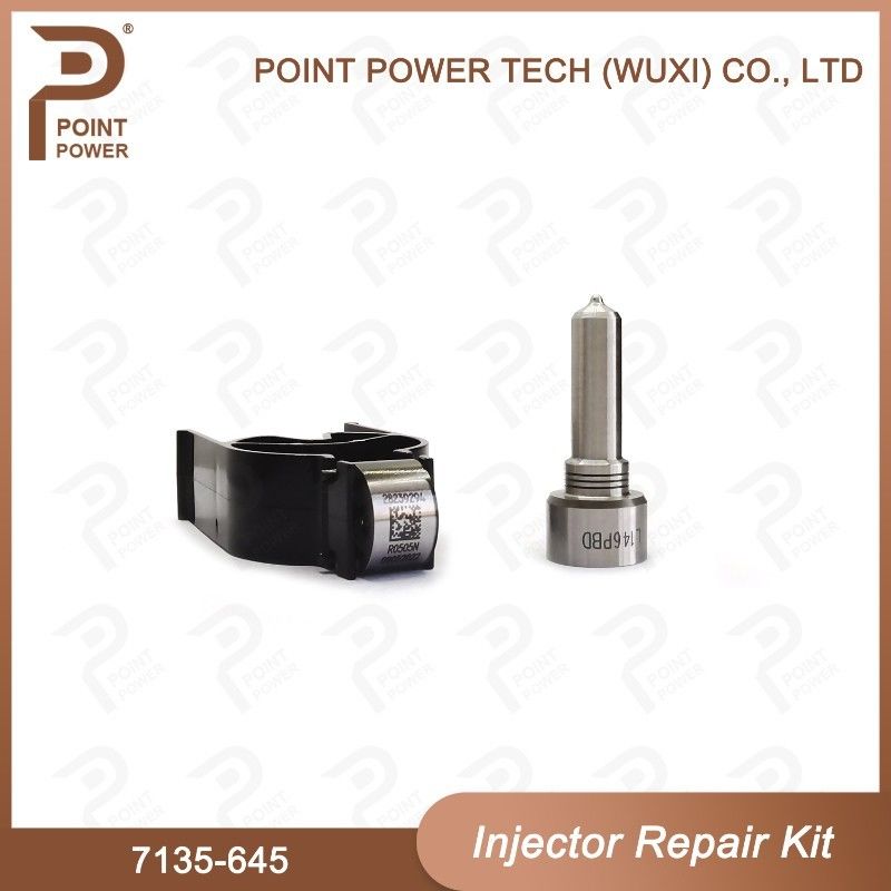 7135-645 Delphi Injektor Reparatur-Kit für Injektoren R05201D Düsen-CVA-Kit mit Common Rail Düse