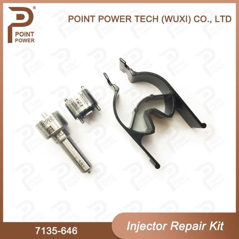 7135-646 Delphi Injektor Reparatur-Kit für Injektor 28232251/ R03101D/R05102D Düse-Ventil-Kit