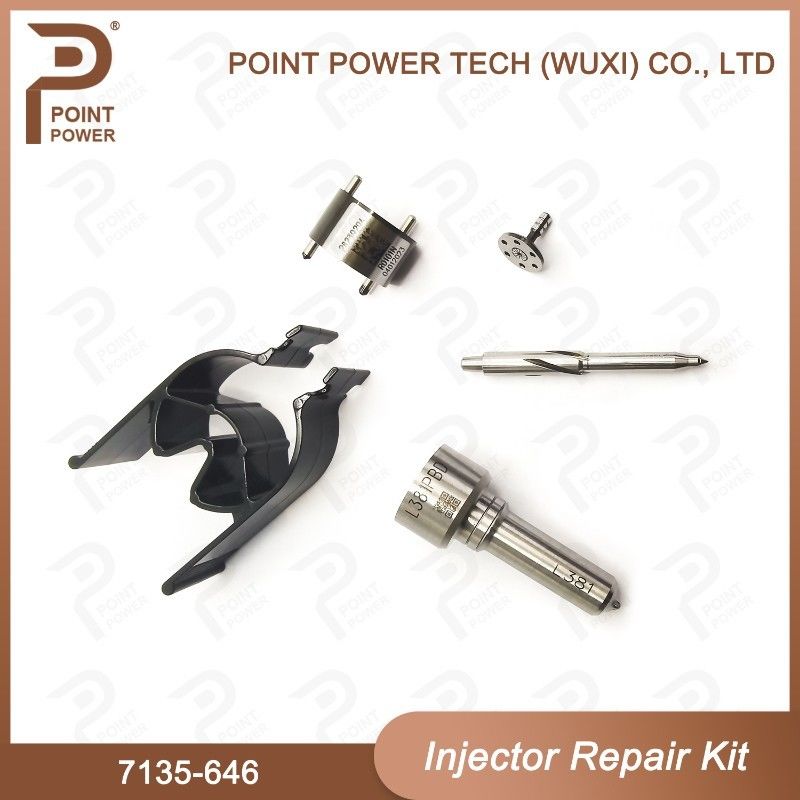 7135-646 Delphi Injektor Reparatur-Kit für Injektor 28232251/ R03101D/R05102D Düse-Ventil-Kit