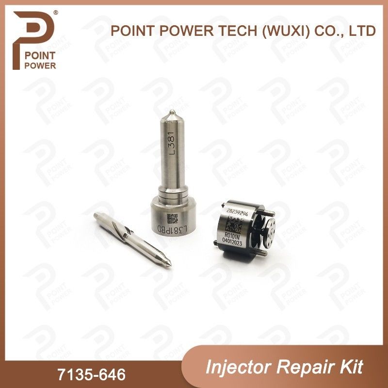 7135-646 Delphi Injektor Reparatur-Kit für Injektor 28232251/ R03101D/R05102D Düse-Ventil-Kit