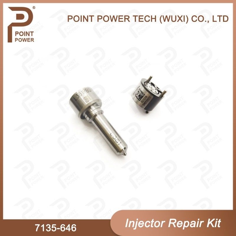 7135-646 Delphi Injektor Reparatur-Kit für Injektor 28232251/ R03101D/R05102D Düse-Ventil-Kit