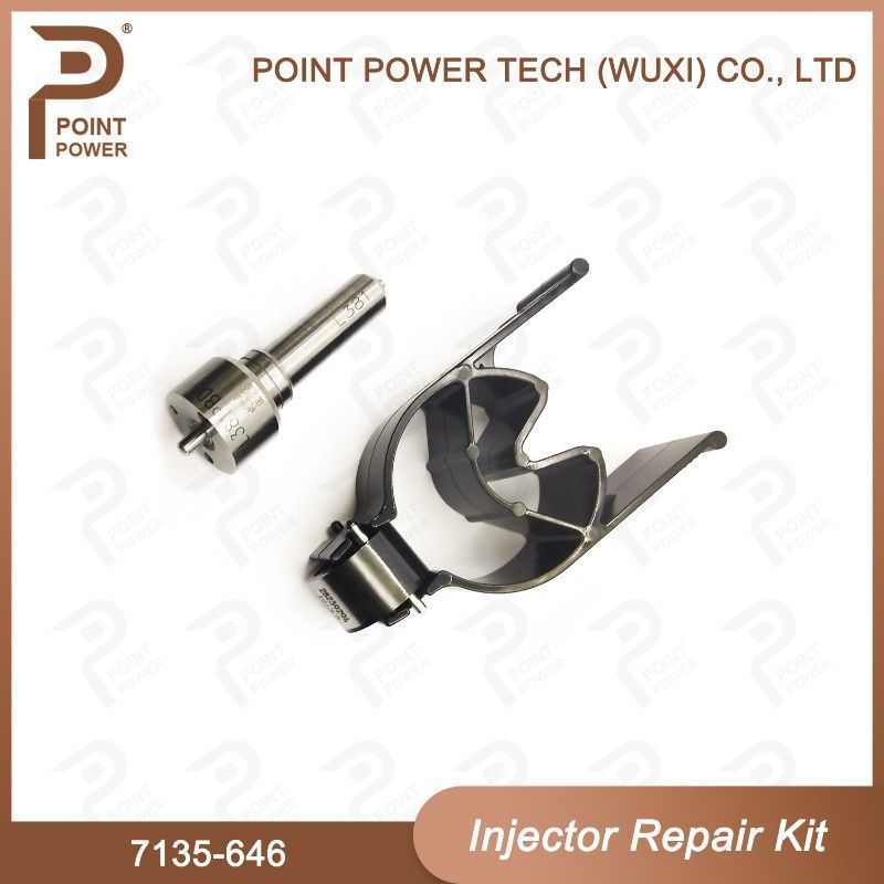 7135-646 Delphi Injektor Reparatur-Kit für Injektor 28232251/ R03101D/R05102D Düse-Ventil-Kit
