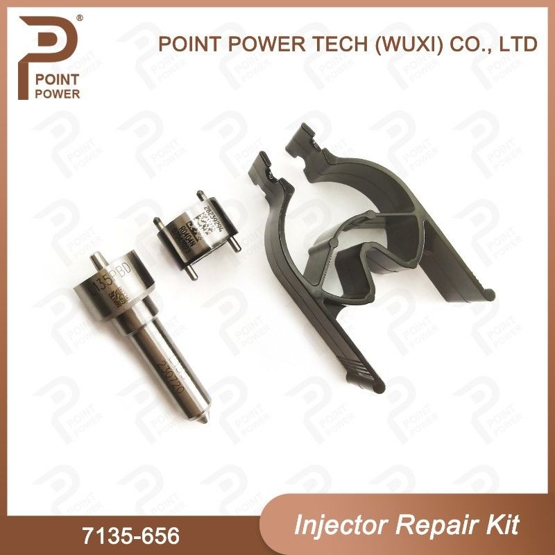7135-656 Delphi Injektor Reparatur-Kit für Injektor R00504Z Düsen-Ventil-Kit mit L135PBD Düse