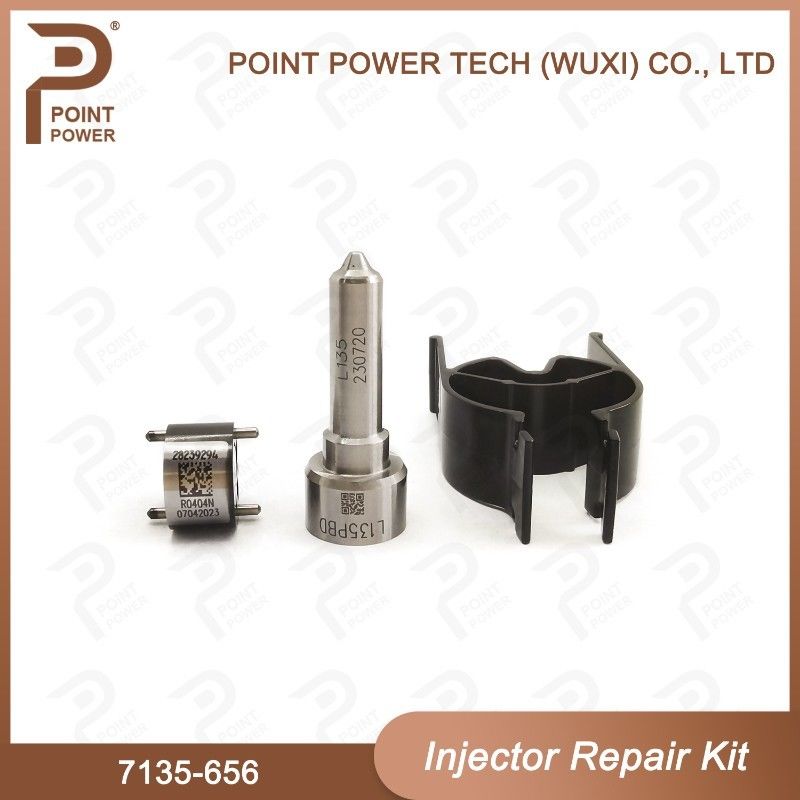 7135-656 Delphi Injektor Reparatur-Kit für Injektor R00504Z Düsen-Ventil-Kit mit L135PBD Düse