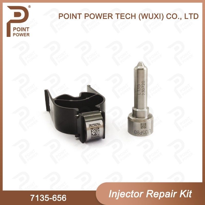 7135-656 Delphi Injektor Reparatur-Kit für Injektor R00504Z Düsen-Ventil-Kit mit L135PBD Düse