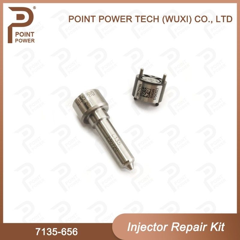 7135-656 Delphi Injektor Reparatur-Kit für Injektor R00504Z Düsen-Ventil-Kit mit L135PBD Düse