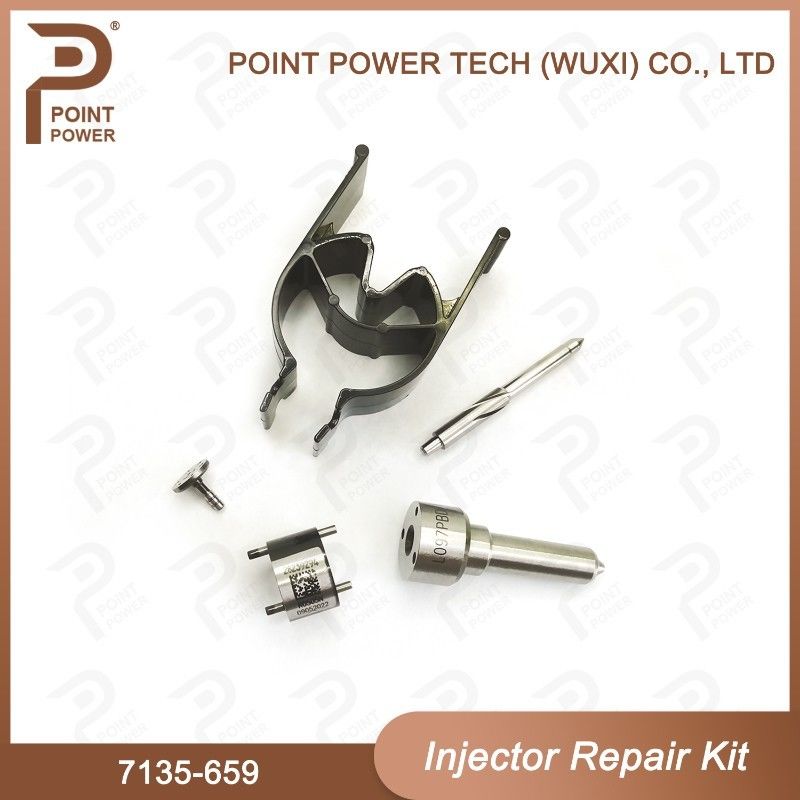 ISO 7135-659 Delphi Injektor Reparatur-Kit für Injektoren R02801D Düse-Ventil-Kit