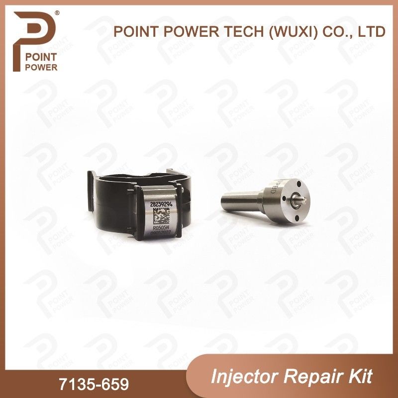 ISO 7135-659 Delphi Injektor Reparatur-Kit für Injektoren R02801D Düse-Ventil-Kit