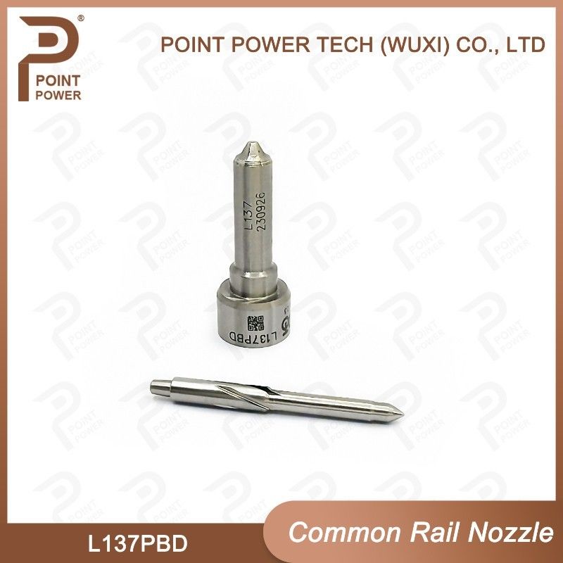 L137PBD Delphi Common Rail Düse für Injektoren EJBR02401Z/02901D Dieselbrennstoff Düse