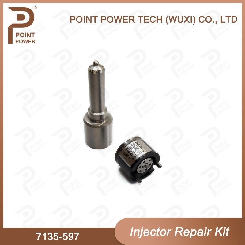 7135-597 Delphi-Injektor Reparatur-Kit Diesel-Injektor Teile für Schienenbahnen
