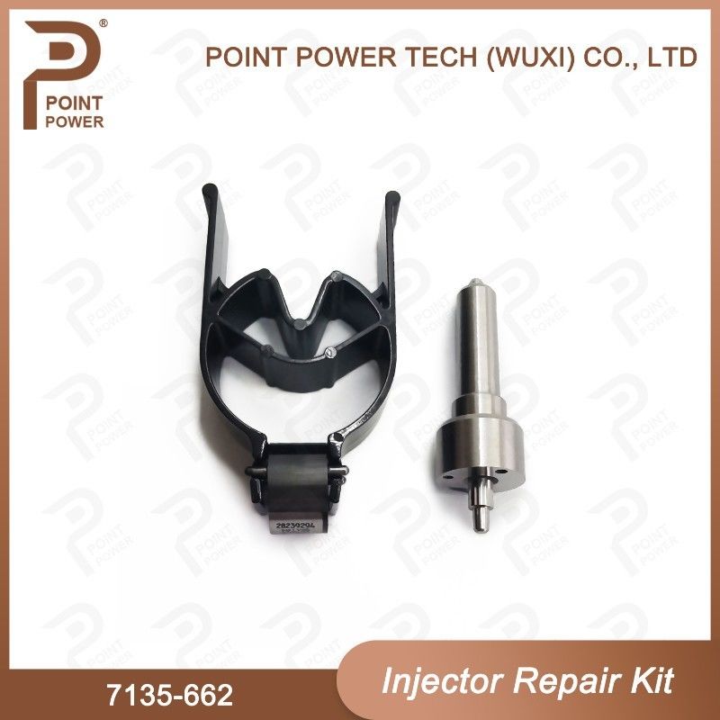 7135-662 Delphi Injector Repair Kit Dieselinjektorteile für die Schienenbahn R05001D
