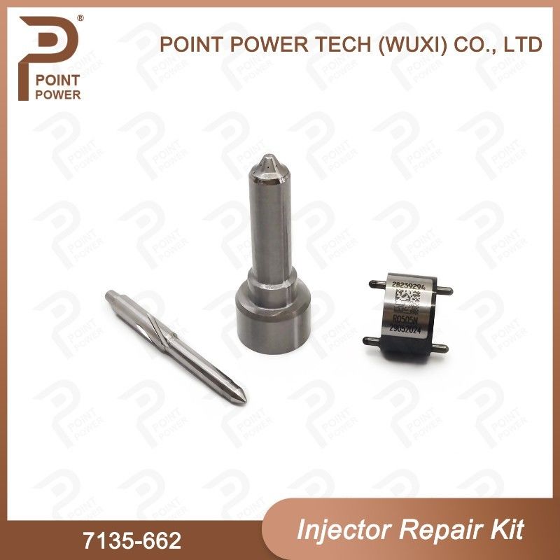 7135-662 Delphi Injector Repair Kit Dieselinjektorteile für die Schienenbahn R05001D
