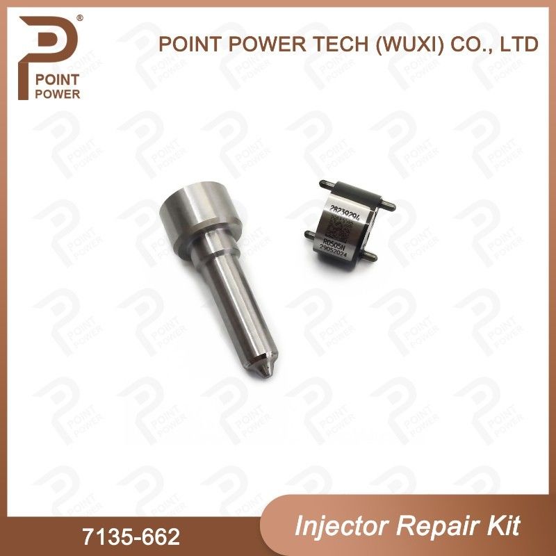 7135-662 Delphi Injector Repair Kit Dieselinjektorteile für die Schienenbahn R05001D