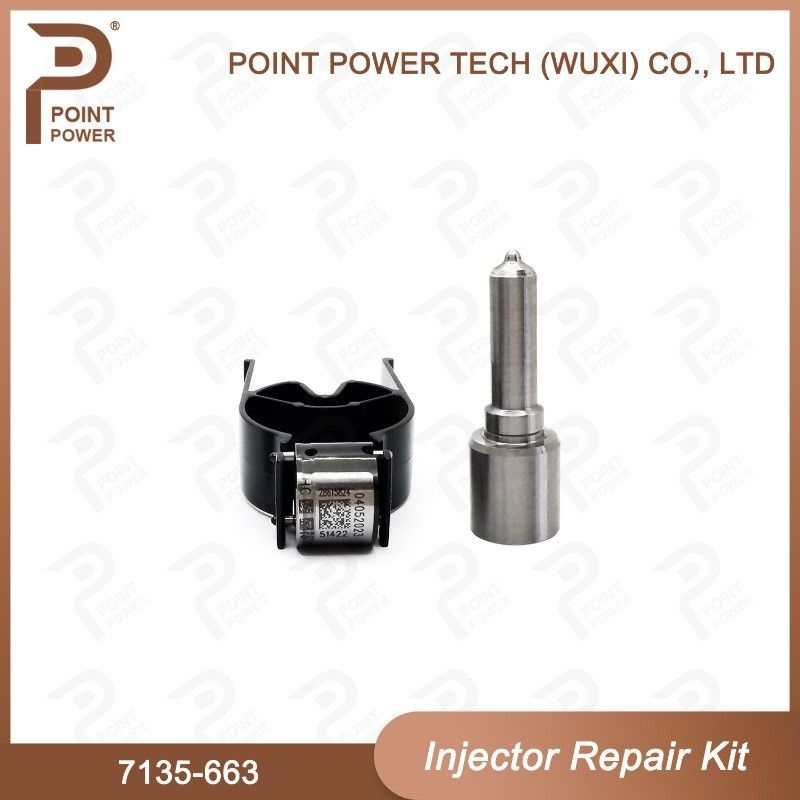 7135-663 Delphi Injektor Reparatur-Kit Diesel-Injektor-Teile für den Schienenverkehr
