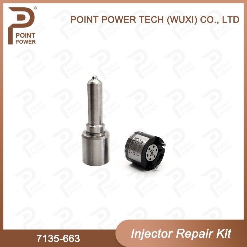 7135-663 Delphi Injektor Reparatur-Kit Diesel-Injektor-Teile für den Schienenverkehr