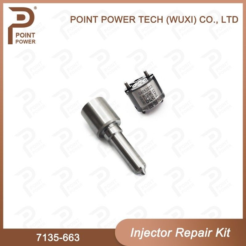 7135-663 Delphi Injektor Reparatur-Kit Diesel-Injektor-Teile für den Schienenverkehr