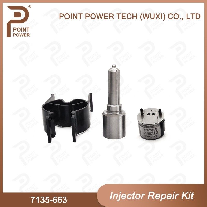 7135-663 Delphi Injektor Reparatur-Kit Diesel-Injektor-Teile für den Schienenverkehr