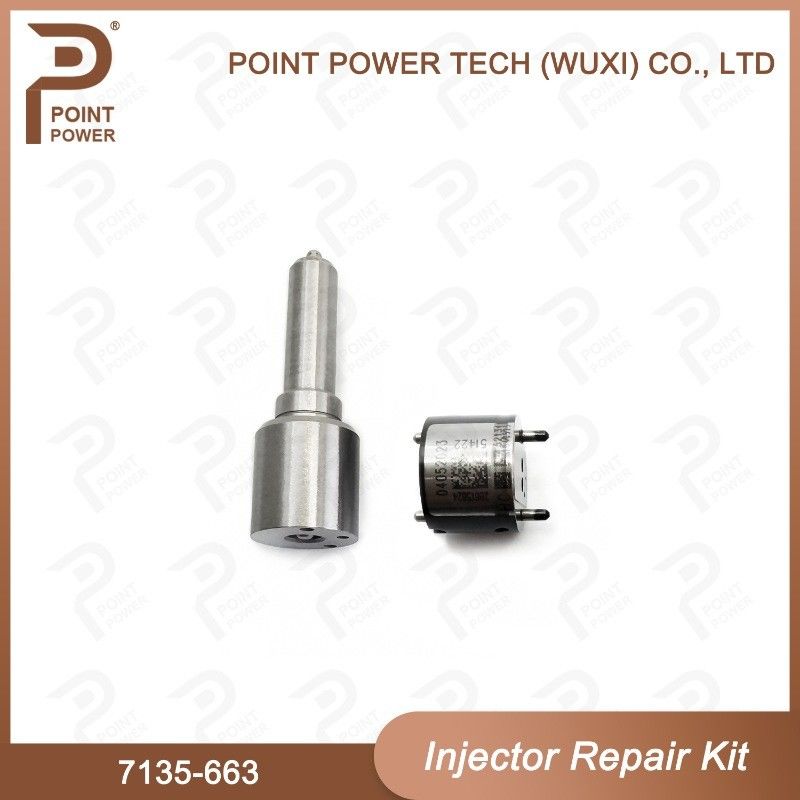 7135-663 Delphi Injektor Reparatur-Kit Diesel-Injektor-Teile für den Schienenverkehr