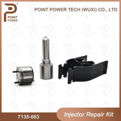 7135-663 Delphi Injektor Reparatur-Kit Diesel-Injektor-Teile für den Schienenverkehr